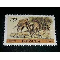 Танзания 1980 Фауна. Жираф. Чистая марка