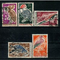 Кот д'Ивуар - 1965г. - птицы - 5 марок - полная серия, гашёные [Mi 286-290]. Без МЦ!