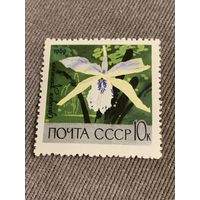 СССР 1969. Орхидея каттлея. Марка из серии