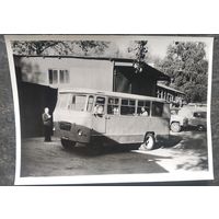 Фото автобуса "Кубань-Г1А" 196070-е. 13х18 см
