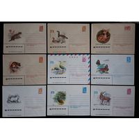 Комплект из девяти конвертов СССР  Животные