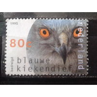 Нидерланды 1995 Хищная птица