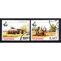 1981 Мозамбик. Охота