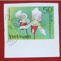 Вьетнам. Цветы. ( 1 марка ) 1979 года. 5-4.