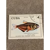 Куба 1978. Рыбы. Hiphessobrycon Flammeus. Марка из серии