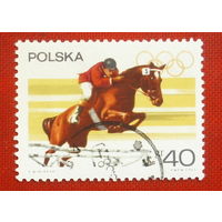 Польша. Конный спорт. ( 1 марка ) 1967 года. 8-3.
