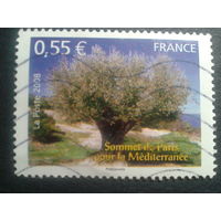 Франция 2008 дерево