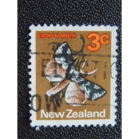 Новая Зеландия. Бабочка.