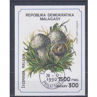 [1826] Мадагаскар 1990. Грибы. Гашеный блок.