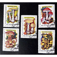 СССР 1986 г. Ядовитые грибы. Флора, полная серия из 5 марок #0025-Ф2P5