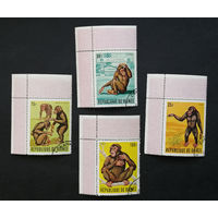 Гвинея 1969 г. Обезьяны. Приматы. Шимпанзе. Фауна, полная серия из 4 марок #0115-Ф2P24
