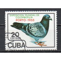 Голубь Куба 1985 год серия из 1 марки