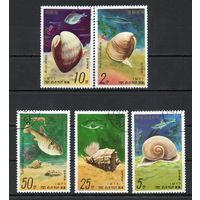 Ракушки и морские животные КНДР 1977 год серия из 5 марок
