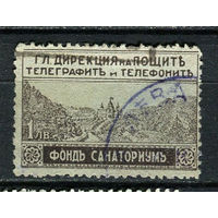 Болгария - 1925 - Почтово-налоговая марка для санатория  - [Mi.1z] - 1 марка. Гашеная.  (Лот 5EQ)-T7P7