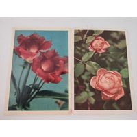 2 открытки с цветами (фото Л.Раскина) 1959 и 1963гг.