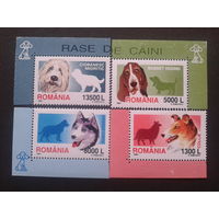 Румыния 2001 собаки полная серия