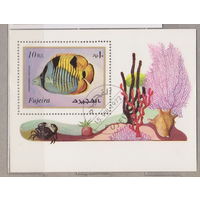 Рыбы Крабы Фауна Рисунки Искусство Морская фауна Фуджейра ОАЭ 1972 год лот 2032   БЛОК