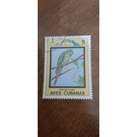 Куба 1983. Птицы. Aratinga euopa. Марка из серии