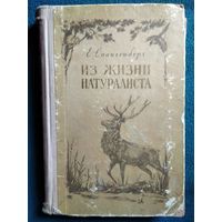 Е. Спангенберг. Из жизни натуралиста.  1953 год