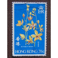 Британский Гонконг. Цветы.