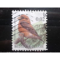 Бельгия 2000 Стандарт, птица 1/0,02