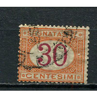 Королевство Италия - 1870/1894 - Доплатная марка - Цифры - 30c - [Mi.7p] - 1 марка. Гашеная.  (Лот 36Dv)