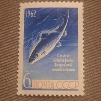 СССР 1962. Семга-ценная рыба водоемов нашей страны. Полная серия