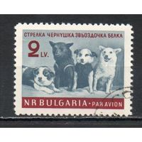 Пятилетний план - досрочно! Болгария 1961 год серия из 1 марки
