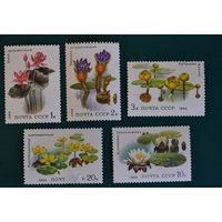 Марки СССР 1984 год.  Водные растения. 5501-5505. Полная серия из 5 марок.
