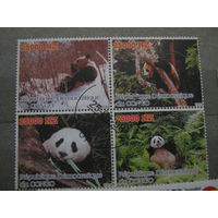 Марки - Конго панда фауна 1998