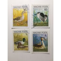 Венгрия 1980. Птицы - Европейская кампания по охране природы