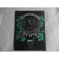 Белавежская пушча. Беловежская пуща. Короткевич В. С. Рисунки Драчева П. Н. Минск. 1975 г.