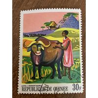 Гвинея 1968. Лан с мланденцем-буйволом. Марка из серии
