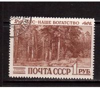 СССР-1960 (Заг.2381)  гаш.(с клеем) , Охрана лесов