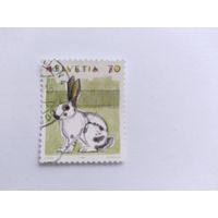 Швейцария  1992 кролик