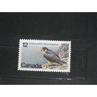 Марка - Канада фауна птицы хищники