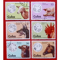 Куба. Домашние животные. ( 6 марок ) 1975 года.