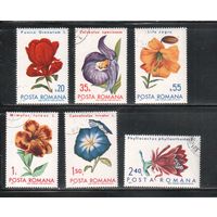 Румыния-1971, (Мих.2940-2945) гаш.  ,  Флора, Цветы (полная серия)