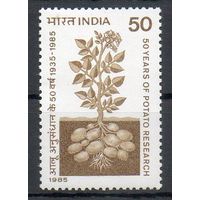50 лет исследованиям картофеля в Индии Индия 1985 год серия из 1 марки