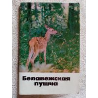 Белавежская пушча. 1981 г Набор открыток Беловежская пуща