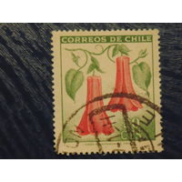 Чили 1965 г. Флора.