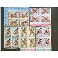 СССР 1981 год. Певчие птицы (серия из 5 марок в квартах)