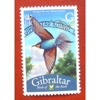 Гибралтар. Птица. ( 1 марка ) 2008 года. 5-17.