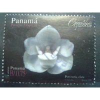 Панама 2000 Орхидея, марка из блока Михель-3,6 евро гаш