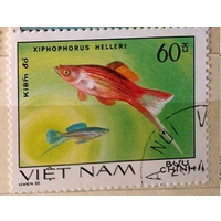 Вьетнам 1980 г. Аквариумные рыбки. Фауна,