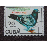 Куба 1985г. Птицы