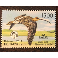 2011 Птица года. Большой кроншнеп. Беларусь Фауна **