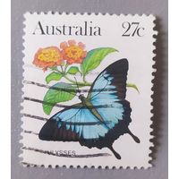 Австралия, бабочка