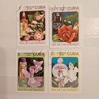 Куба 1989. Флора. Цветы