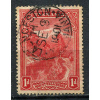 Австралийские штаты - Тасмания - 1899/1900 - Гора Веллингтон 1Р - [Mi.62] - 1 марка. Гашеная.  (LOT Eu22)-T10P10